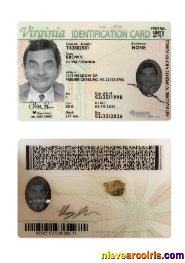 USA Virginia ID card